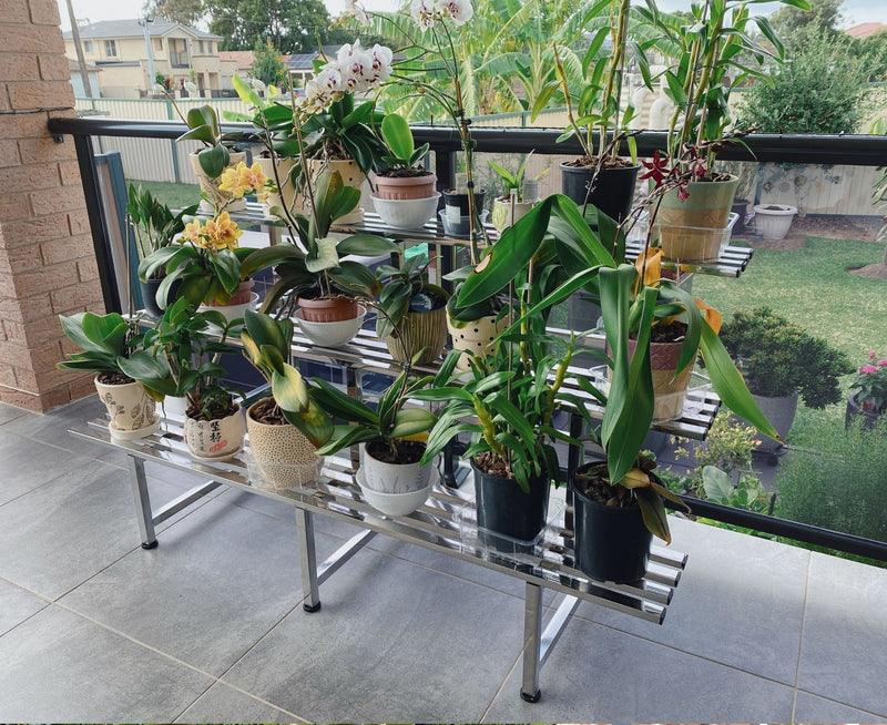 A : 2 Tiers Stainless Flower Plants Display Stand Length 100CM, Tier Width 20CM/25CM Indoor Or Outdoor