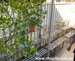 I : 4 Tiers Stainless Flower Plants Display Stand Length 150CM, Tier Width 20CM/25CM,Indoor Or Outdoor